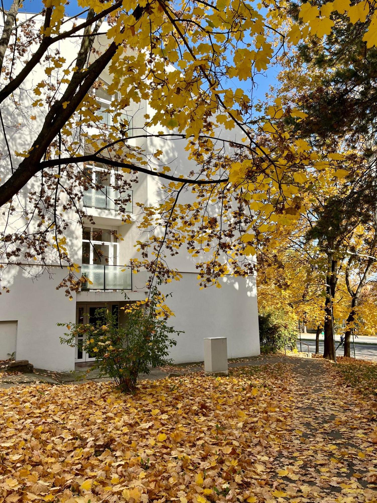 Oazis Apartman Веспрем Екстер'єр фото